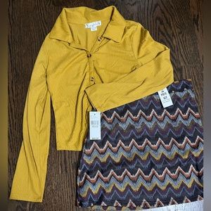 Skirt and skirt set